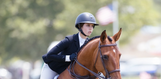 Avery Glynn Gets the Win in the American Tradition of Excellence Equitation Challenge