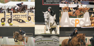Watch and Learn: Equitation Champions of the 2010s