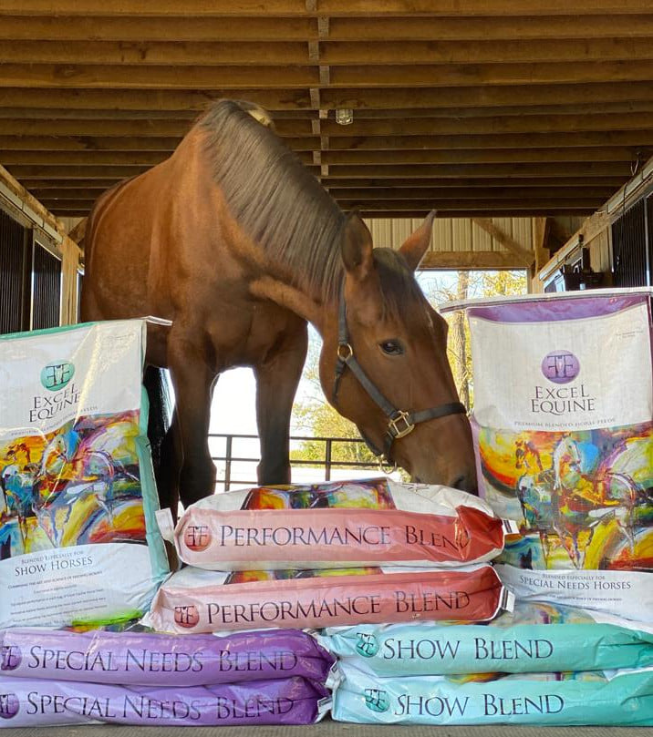 LouisvilleBased Horse Feed Manufacturer ReinsIn Packaging Waste With Help of Community