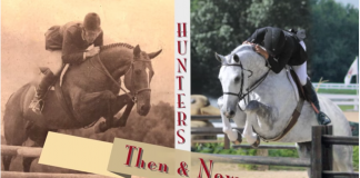 Watch and Learn: Hunters Then & Now
