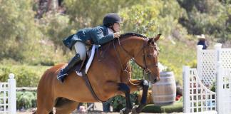 Augusta Iwasaki Rides Rolo to Victory in $10,000 USHJA International Hunter Derby at Blenheim June Classic II