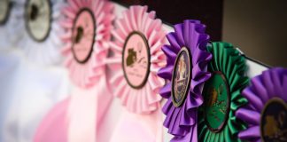 What My Last Place Ribbon Doesn’t Show