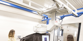 Purdue University Renames Its Acclaimed Equine Hospital to the Caesars Entertainment Equine Specialty Hospital