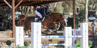 Sophie Simpson-Leckie Gets Off to Picture Perfect Week Winning $5,000 1.35m Welcome Stake Aboard A Picasso De Vie at Temecula Valley National III