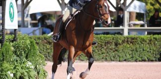 Riding Through Riding (and Life) Transitions