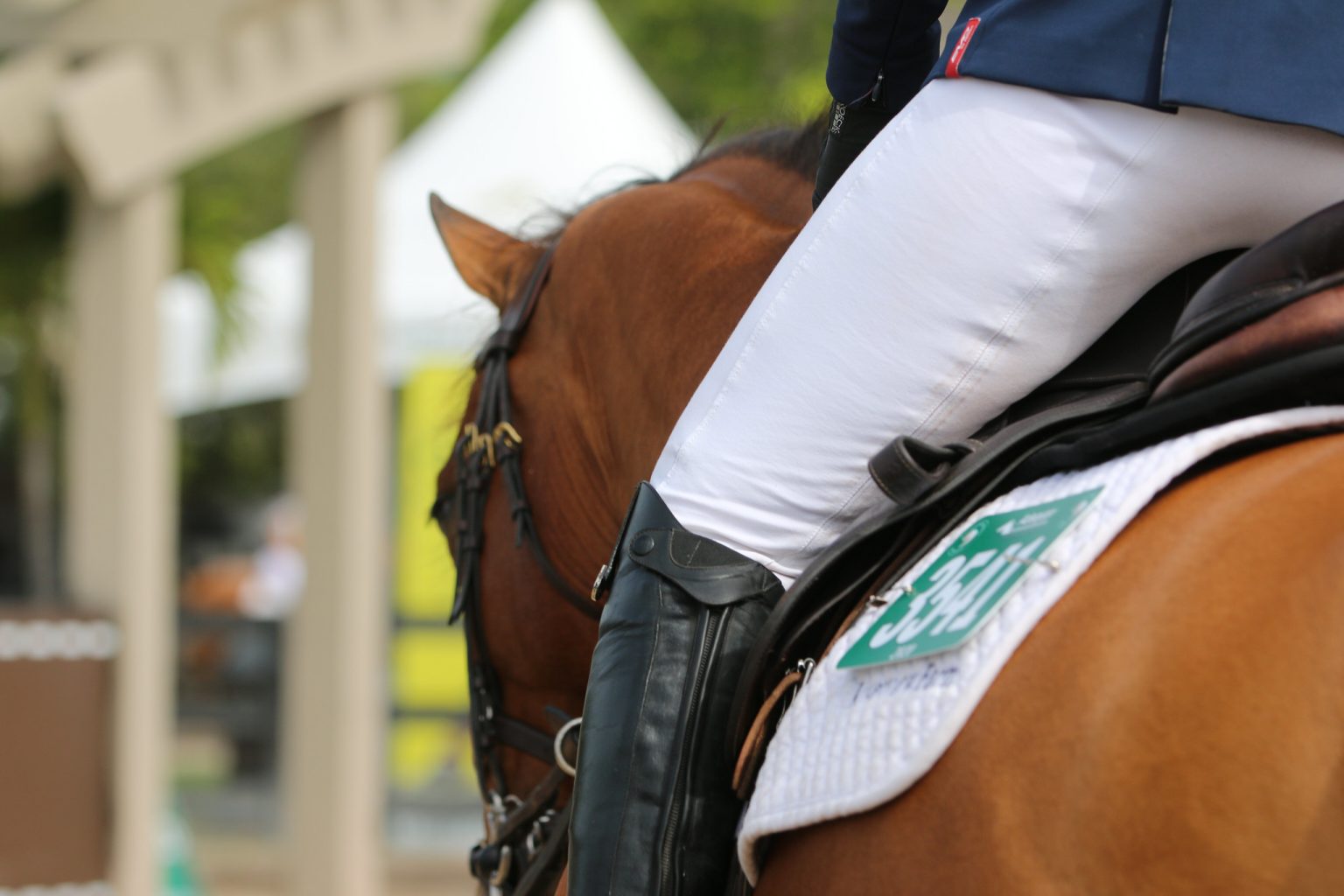 Horse Tests Positive for EHV1 at Sonoma Horsepark The Plaid Horse