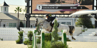Jamie Taylor Snatches the Win in $15,000 WEC Ocala Welcome Prix