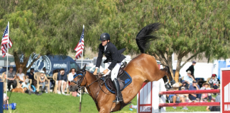Newcomer Charlie Jones and Gerko III Van De Zeilhoek Take the Cake in the $25,000 Markel Insurance 1.45m Grand Prix