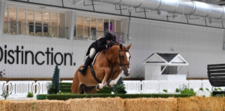 Jennifer Bliss Proves Unstoppable on Derby Friday at WEC Ocala