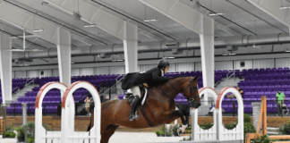 Megan Young & Camanche Top The $10,000 WEC Ocala 3’ Hunter Derby