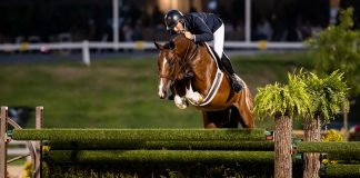 2021 USHJA International Hunter Derby Championship Top 24 in Photos