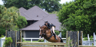 Ashley Hotz and Birthday Boy Star in $2,500 USHJA National Hunter Derby at ESP Summer