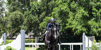 Clintano Captures the Blue with Ki-Juan Minors in $2,500 USHJA National Hunter Derby