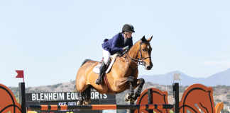 Joie Gatlin Gets the Gold in $25,000 1.45m Silver Tour Markel Insurance Grand Prix