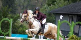 Why Pony Jumpers Welcome Every Type of Pony (and Rider)