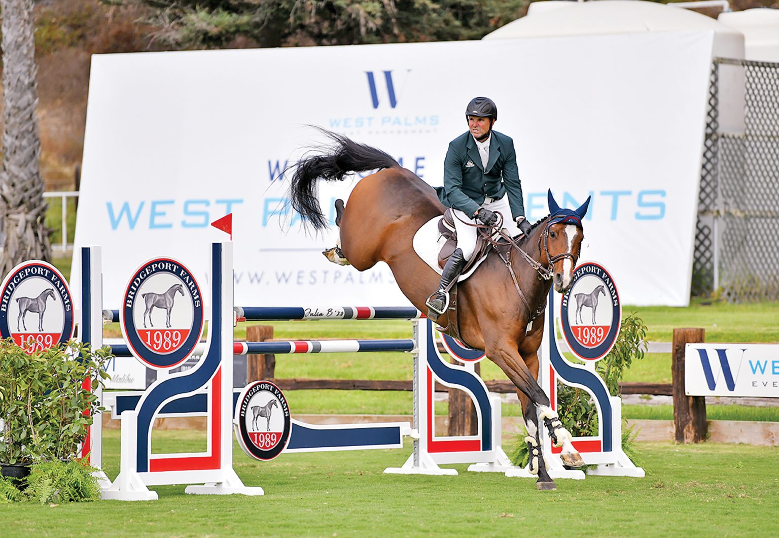 John Bragg's Bridgeport Farms Building Success From the Ground, Up