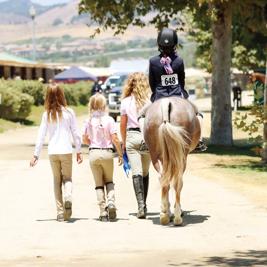 John Bragg's Bridgeport Farms Building Success From the Ground, Up