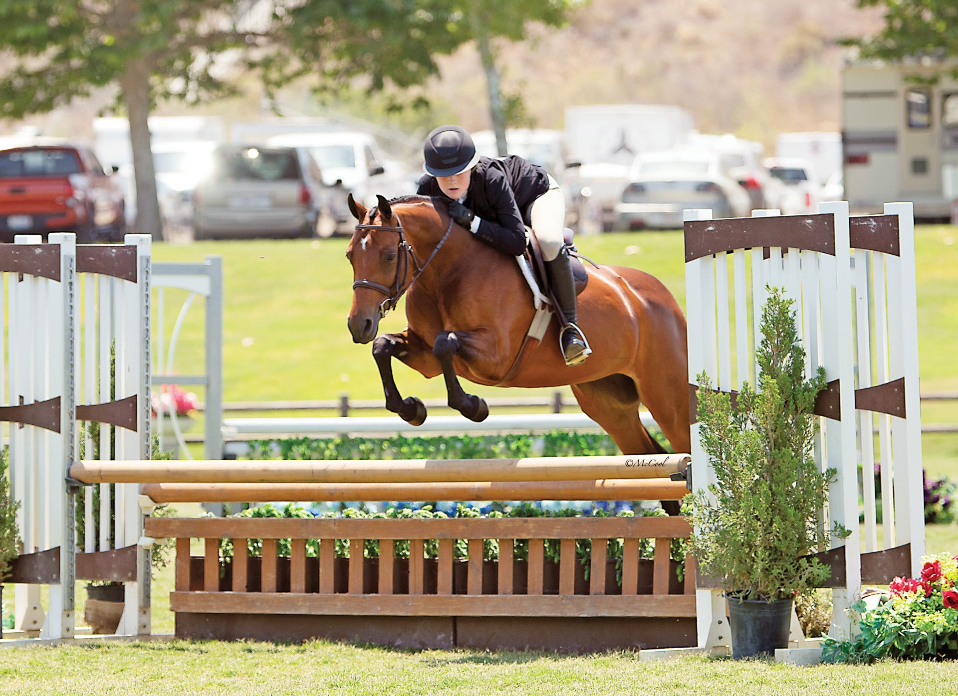 John Bragg's Bridgeport Farms Building Success From the Ground, Up