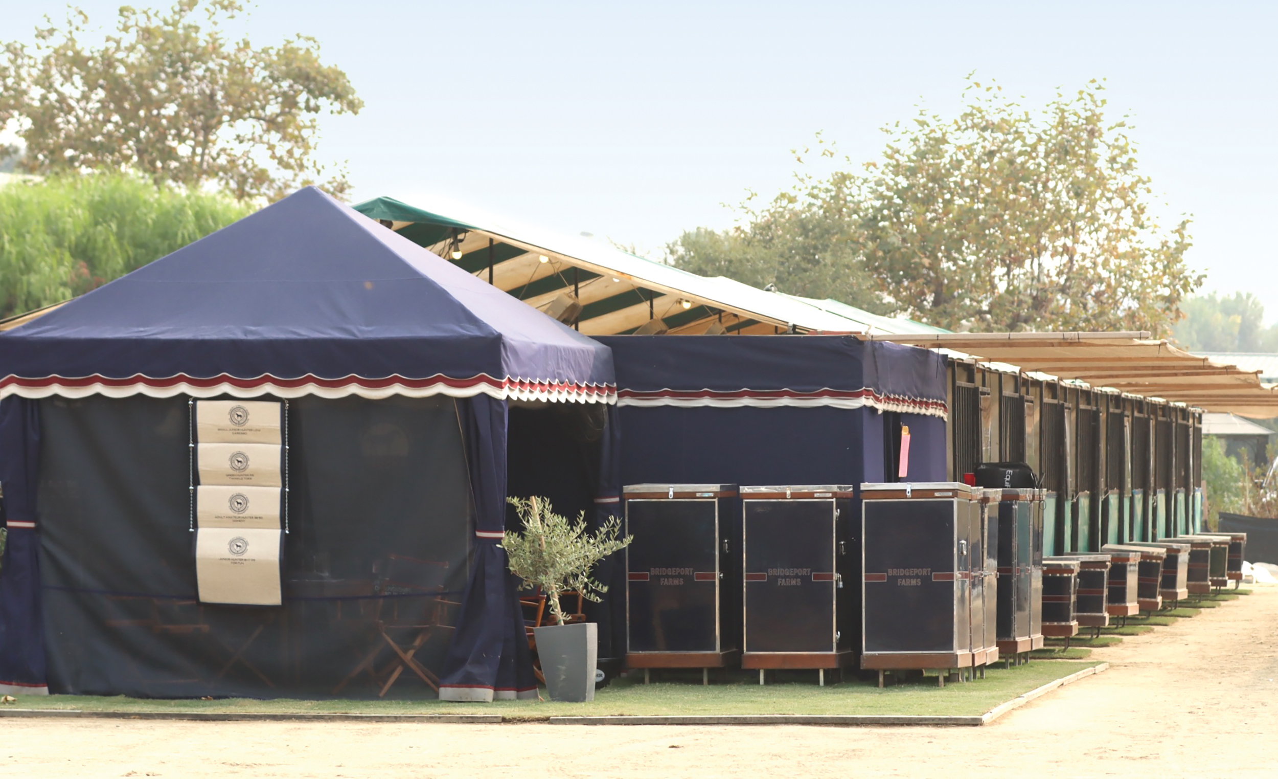 John Bragg's Bridgeport Farms Building Success From the Ground, Up