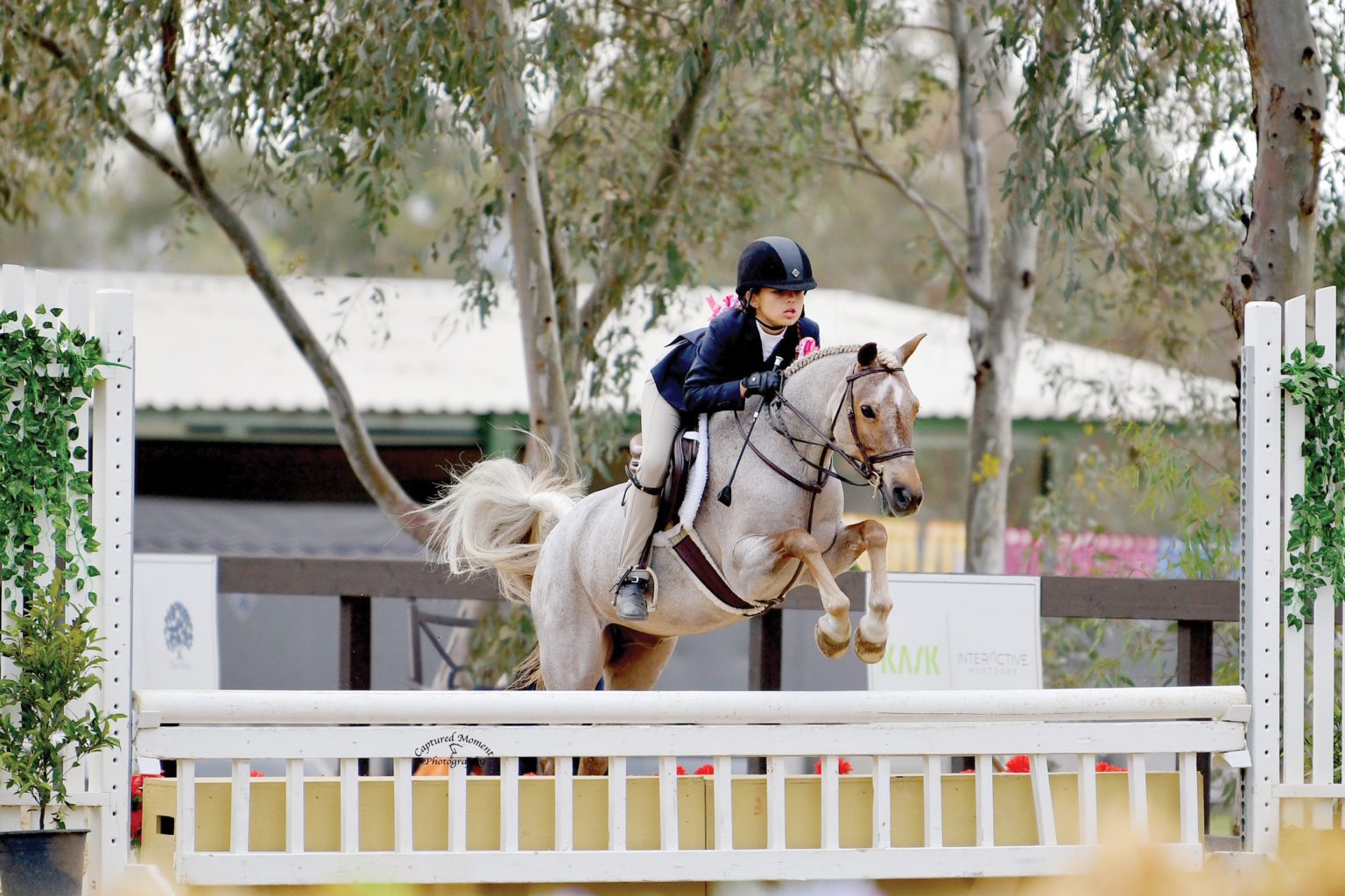 John Bragg's Bridgeport Farms Building Success From the Ground, Up