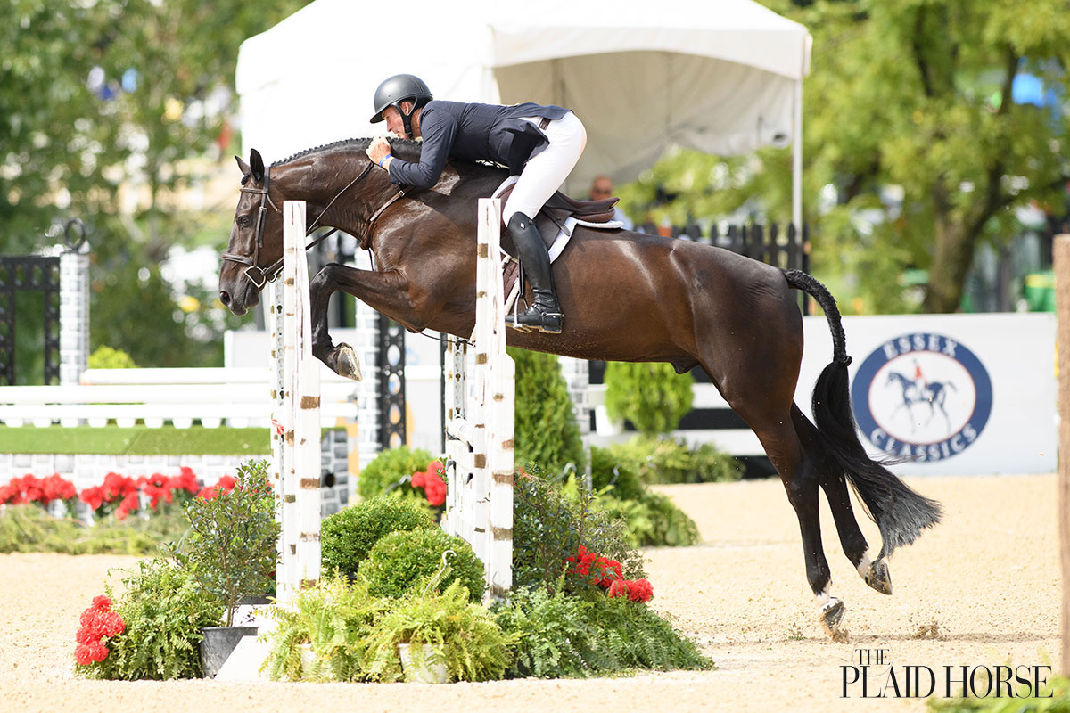 3'6/3'9 Green Incentive Championship Photo Gallery The Plaid Horse