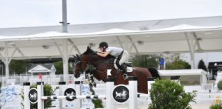 Dorothy Douglas and MTM Pablo Secure Second $15,000 WEC Ocala 1.40m Jumper Classic Win