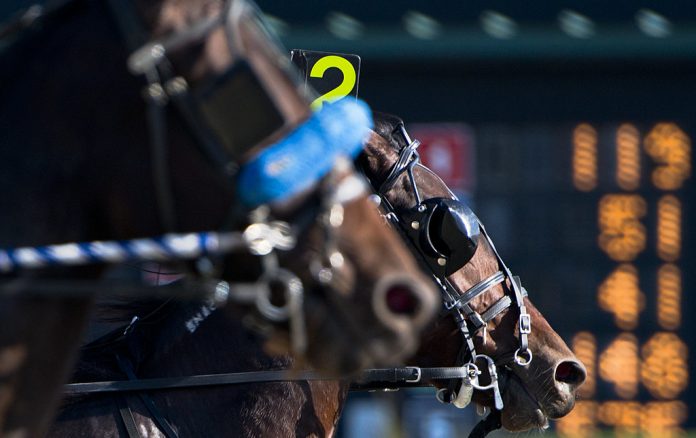 harness-racing