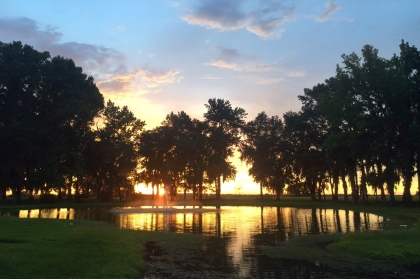 wec-ocala-jockey-club