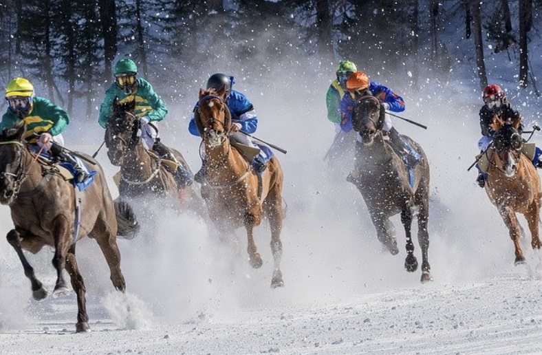 Top 30 Most Popular Horse Racing Tracks by Instagram The Plaid Horse Magazine