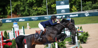 Cathleen Driscoll Tops $5,000 Rood & Riddle 1.40m to Open 2021 Silver Oak Jumper Tournament