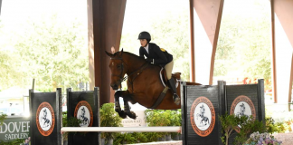 Ellie Aronson and It’s Easy Time Land ASPCA/NHSAA Maclay Region 3 Championship