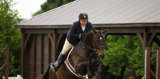 Kendall Meijer Pilots Sorrento to Champion in Audra Jackson, Exit Northern Shores Realty Amateur Adult Hunter 18-35
