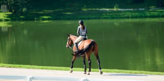 The Science Behind Why Riding is So Therapeutic