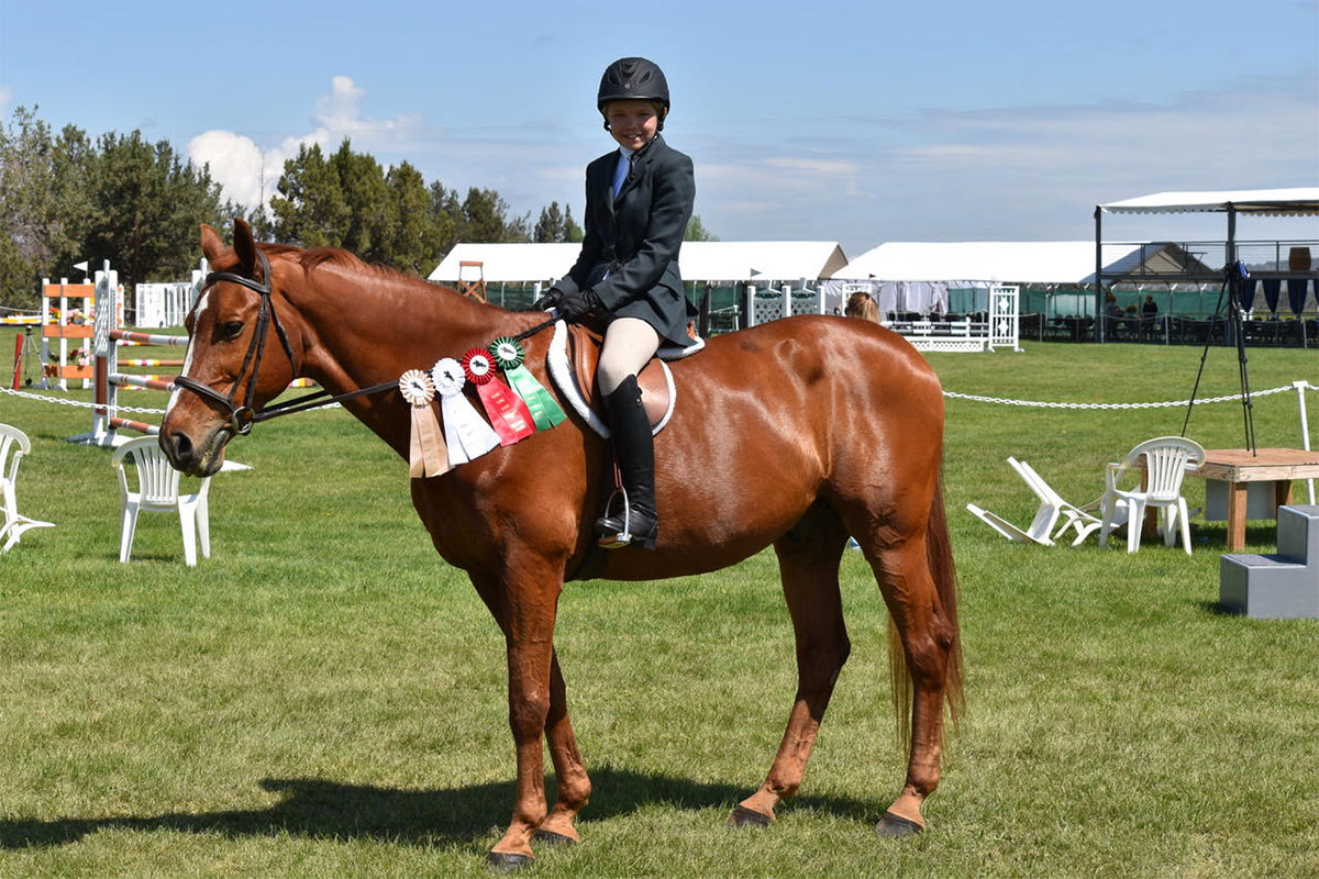 Who Said Old is a Bad Thing? - The Plaid Horse Magazine