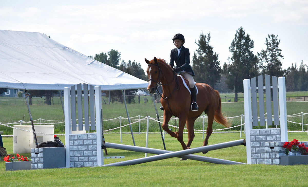 Who Said Old is a Bad Thing? - The Plaid Horse Magazine