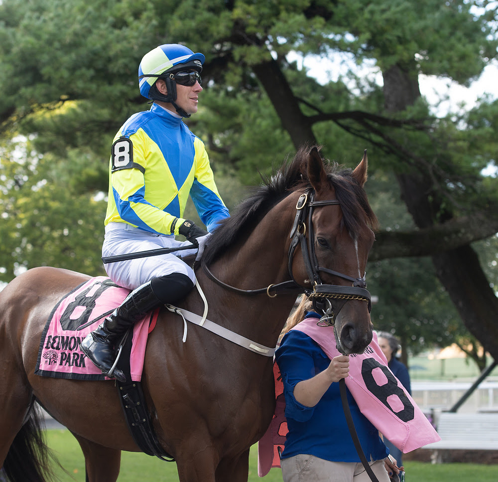 Competitive Field of Seven to Battle It Out in Entenmann