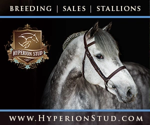 Hyperion Stud Dec 2020