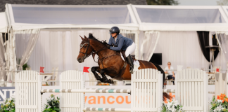 Keith Steps Up with Success in $36,900 CSI2* tbird 1.45m