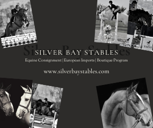 Silver Bay Stables