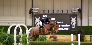 Havens Schatt and Cascartini Prove Unbeatable in $30,000 WEC- Wilmington Hunter Derby 3’6″-3’9″