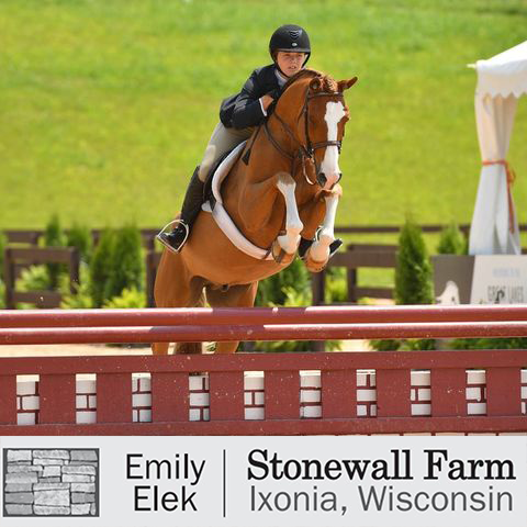 Stonewall Farm - Ponies for Sale