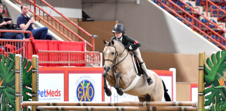 Olivia Sweetnam Sweeps Pony Hunters at Pennsylvania National Horse Show