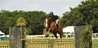 Rock Angel Shines with Lexy Reed in $2,500 USHJA National Hunter Derby