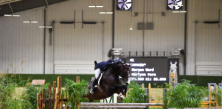 Morgan Ward and Playmaker Capture Second Consecutive $20,000 WEC Hunter Derby