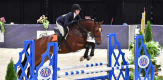 Riley Hogan Stays Consistent in EMO Insurance/USHJA 3’3″ Jumping Seat Medal Final-East at Capital Challenge