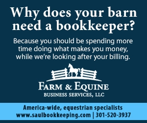 Saul Bookkeeping