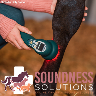 Soundness Solutions