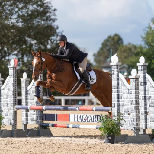 TAKE THE LEAD Graduates Shine at Retired Racehorse Project Thoroughbred Makeover The Plaid