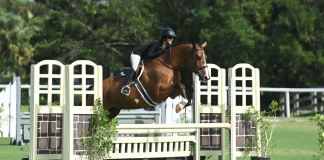 Vivianne Kassin and California Blue Win the Blue in the $2,500 USHJA National Hunter Derby at ESP Fall