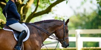Taking Care of Your Tack (and Yourself): The Importance of Self-Care for Equestrians
